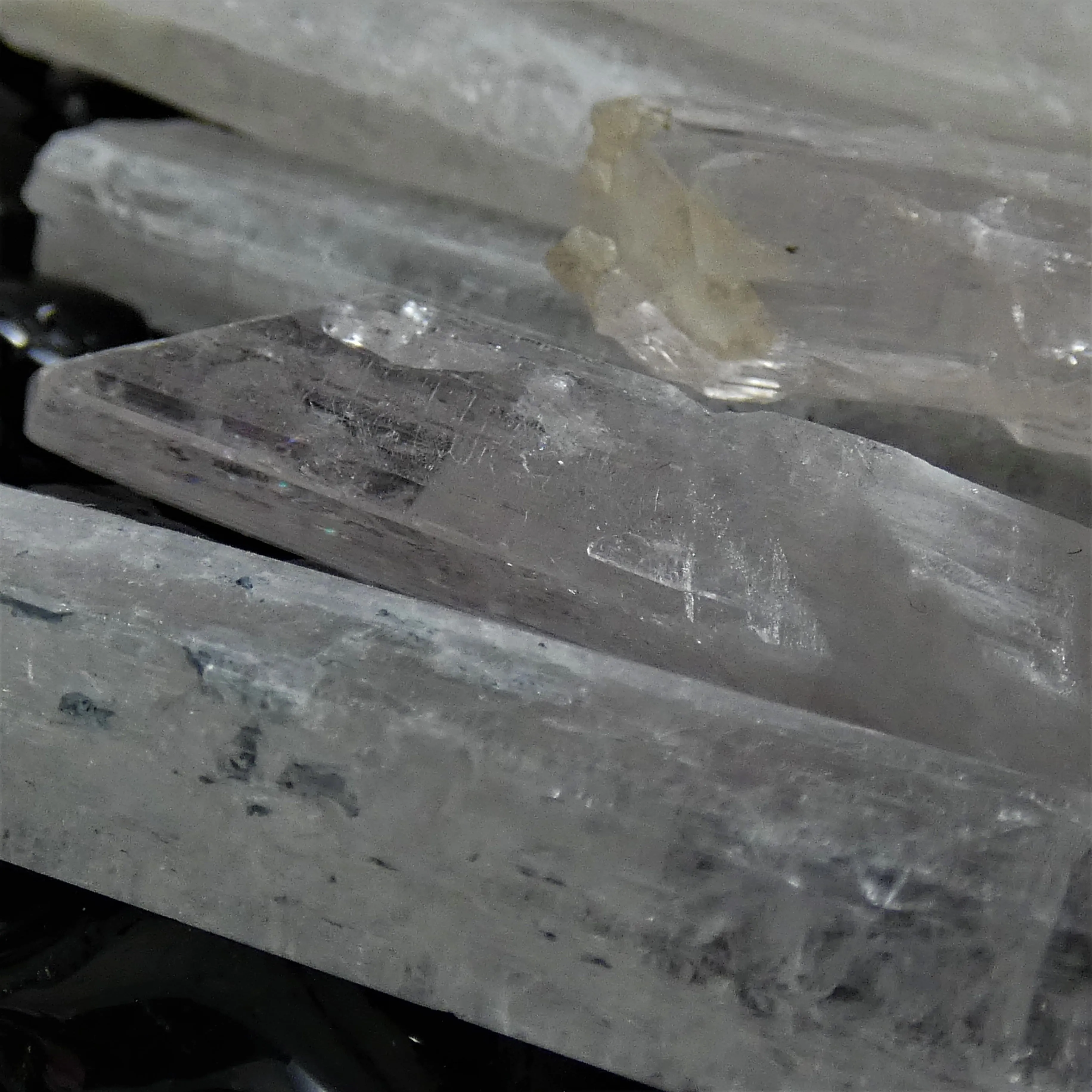 Danburite Pieces